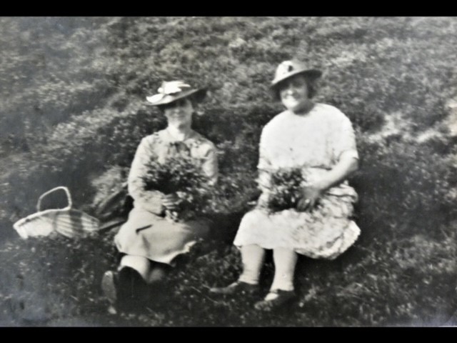 Picture of Wimberry Pickers 1920's